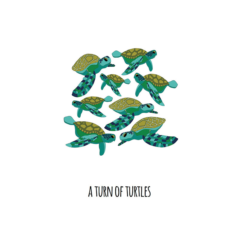 A Turn of Turtles Art Print