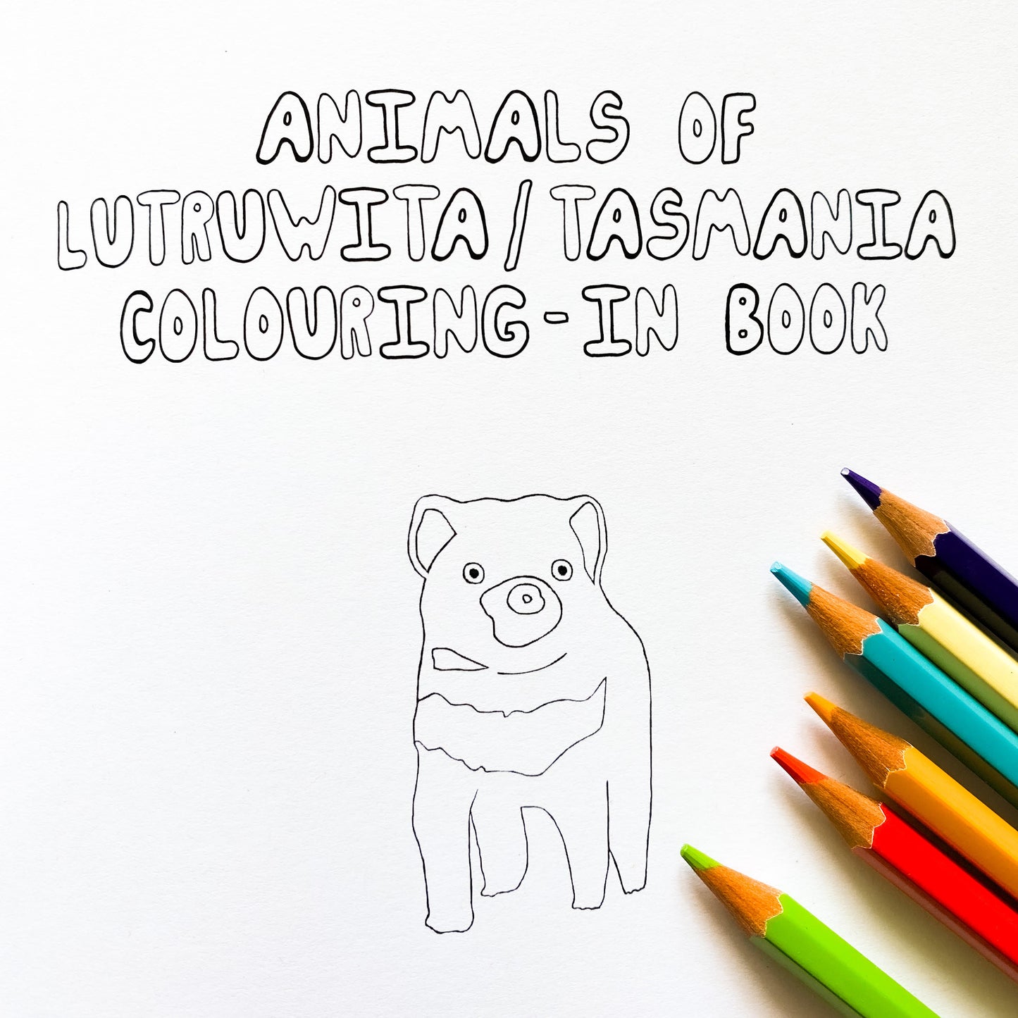 Tasmanian Animal Colouring In Book