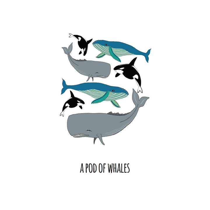 101 Collective Nouns Prints Red Parka